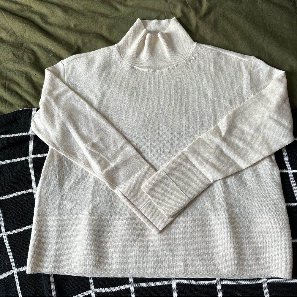 Everlane Cashmere Mockneck